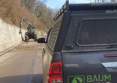 Verkehrssicherungshieb an der Küssaburg mit Forstbetrieb Baumgartner